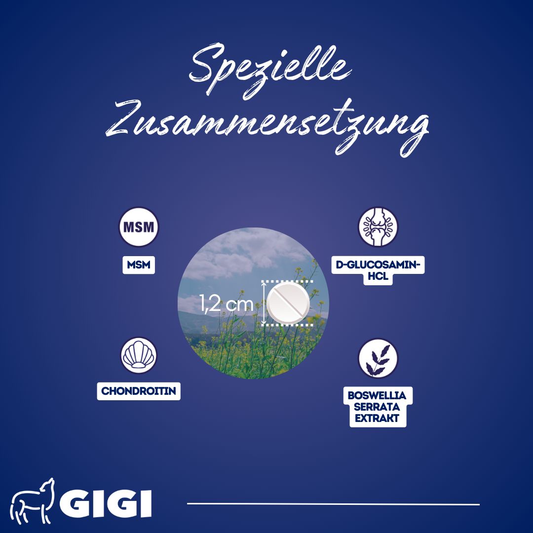 Nahaufnahme Tablette, 1,2 cm. Inhaltsstoffe: MSM, Chondroitin, D-Glucosamin-HCL, Boswellia serrata Extrakt. GIGI Logo.