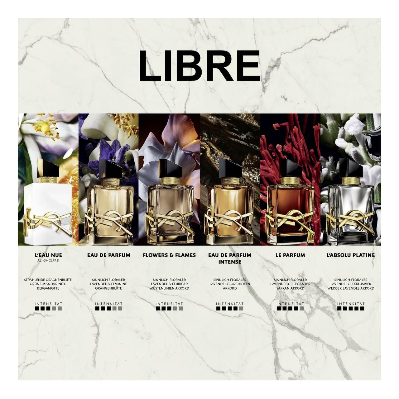 Verschiedene Yves Saint Laurent Libre E.d.P. Vapo Flakons. Text: L'EAU NUIT, EAU DE PARFUM, FLOWERS & FLAMES, EAU DE PARFUM INTENSE, LE PARFUM, L'ABSOLU PLATINE.