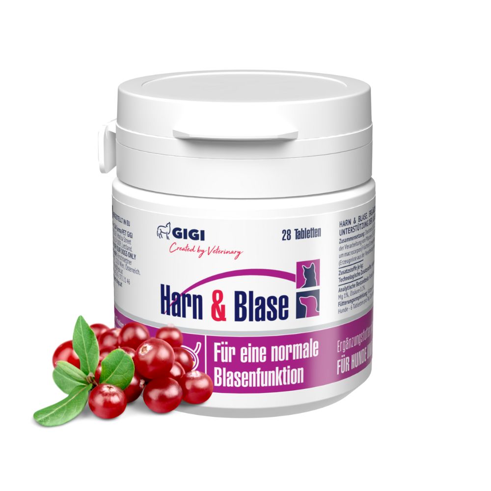 Weiße Tabletten-Dose mit Aufschrift "Harn & Blase". Daneben Cranberry-Früchte. 28 Tabletten. Marke GIGI.