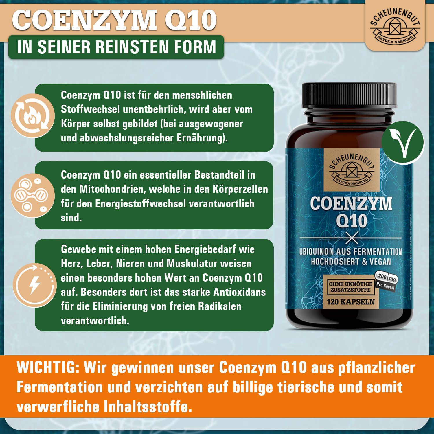 Scheunengut® Coenzym Q10 | pflanzlicher Rohstoff aus Fermentation | 200mg pro Kapsel