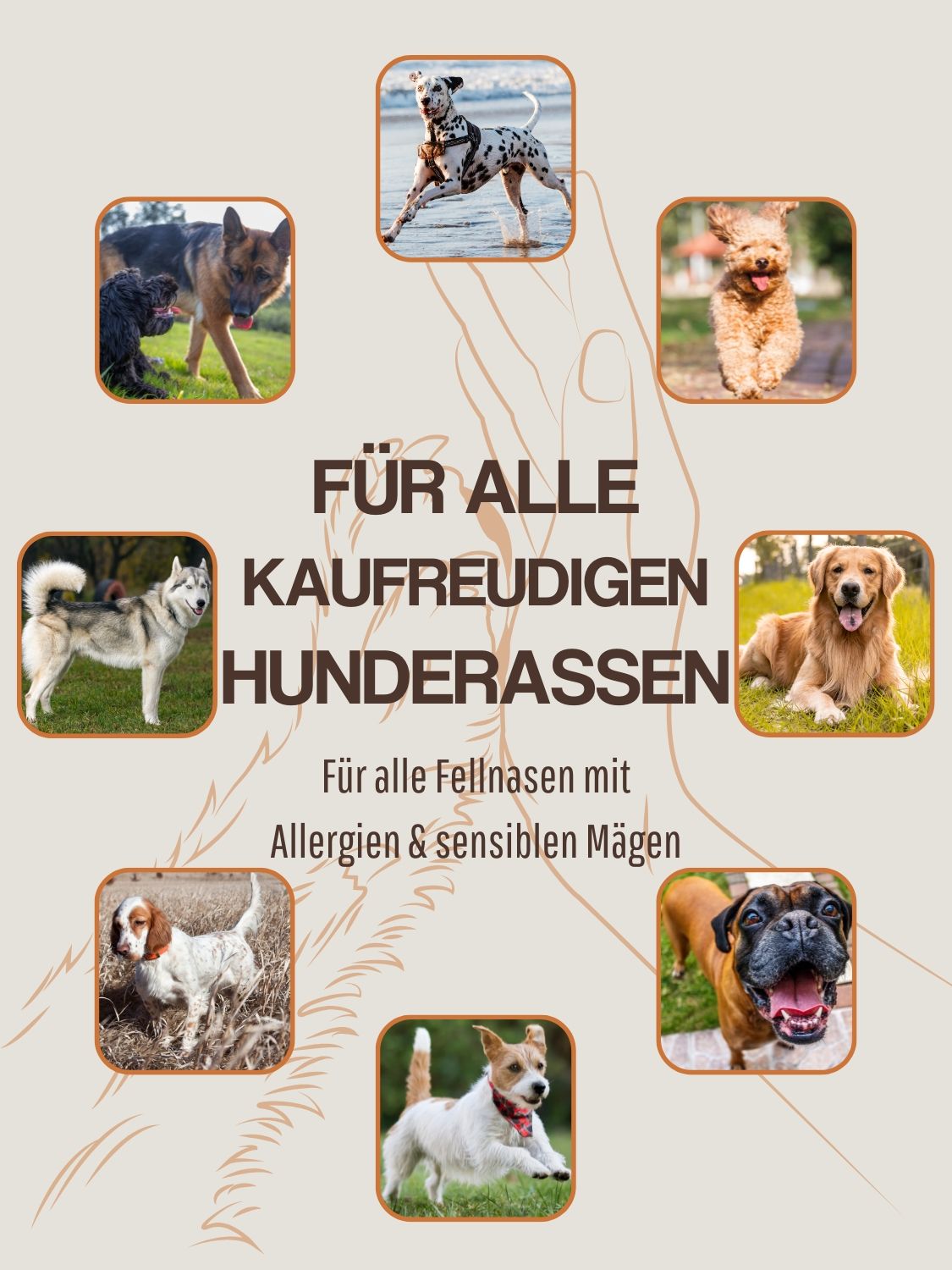 Werbung für Hunde. Verschiedene Hunderassen. Für alle kaufreudigen Hunderassen. Für Allergiker & sensible Mägen.