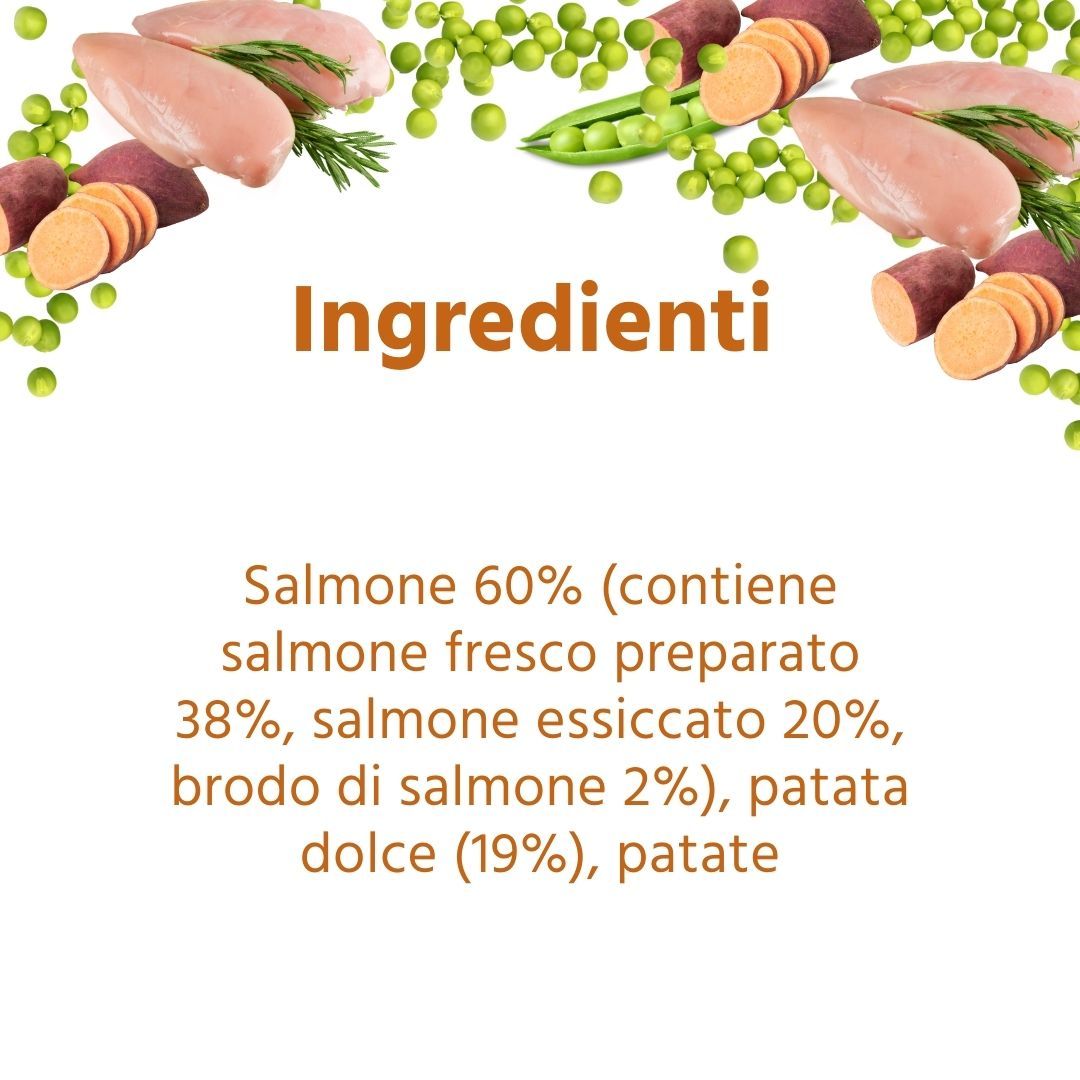 Text: Zutaten. 60% Lachs (enthält frischen Lachs 38%, getrockneten Lachs 20%, Lachssuppe 2%), Süßkartoffeln (19%), Kartoffeln.