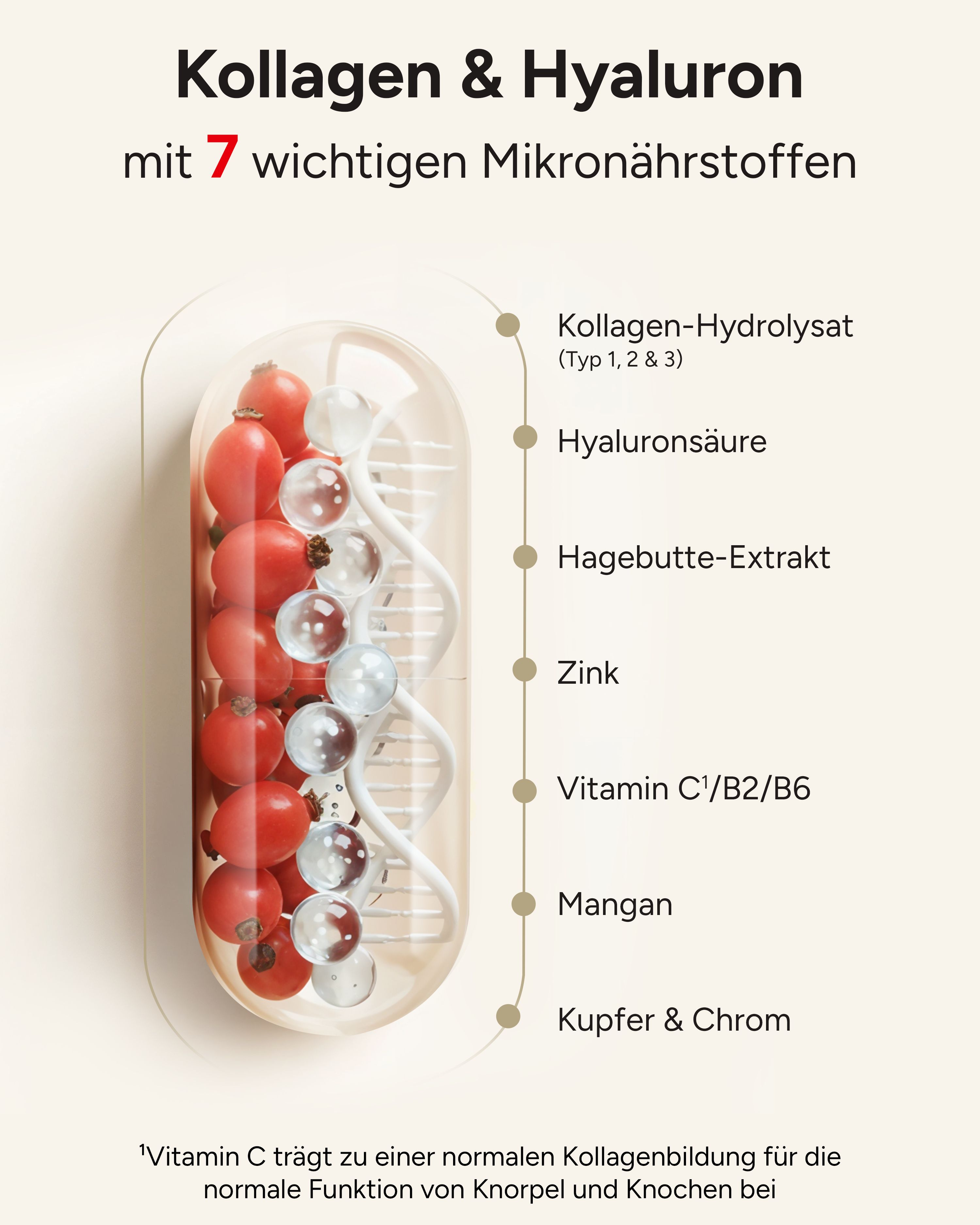 Grafische Darstellung von Inhaltsstoffen: Kollagen-Hydrolysat, Hyaluronsäure, Hagebutte, Zink, Vitamin C/B2/B6, Mangan, Kupfer & Chrom.
