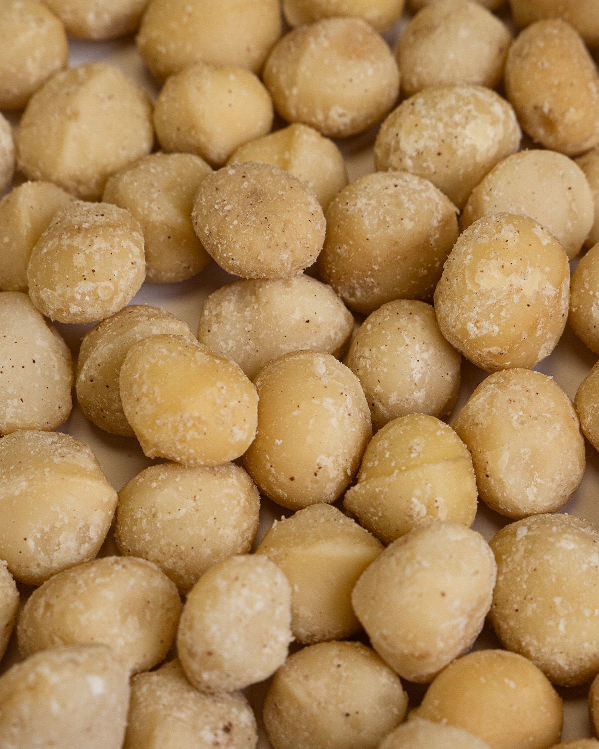 Haufen von Macadamia-Nüssen. Die Nüsse sind hellbraun und rundlich.