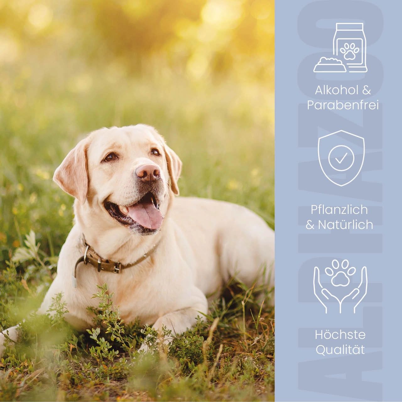 Ein Labrador-Retriever liegt auf einer Wiese. Text: Alkohol- & Parabenfrei, Pflanzlich & Natürlich, Höchste Qualität.