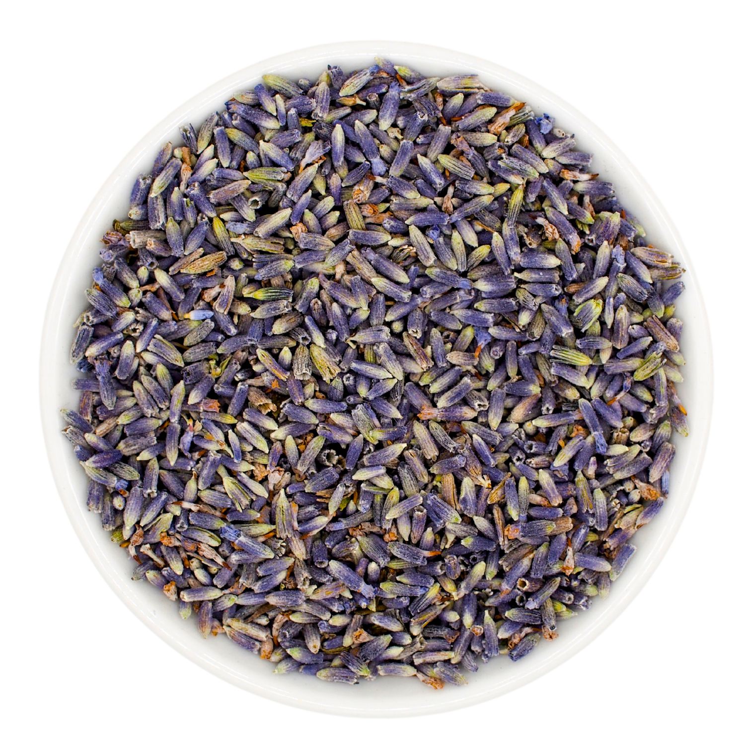 Weiße Schale gefüllt mit getrockneten Lavendelblüten. Draufsicht.