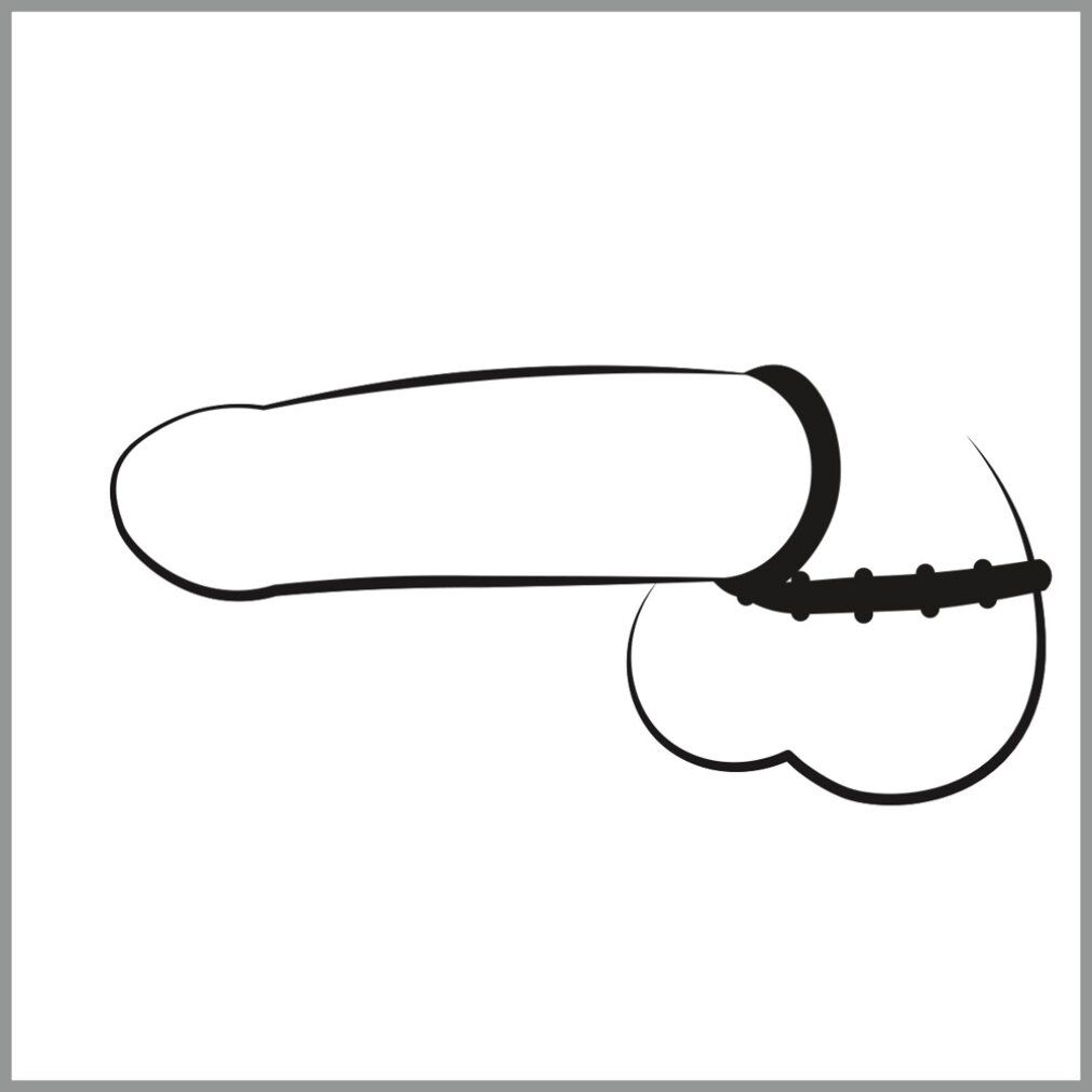 Schwarz-weiße Strichzeichnung eines Penis mit Penisring und Hodenring.