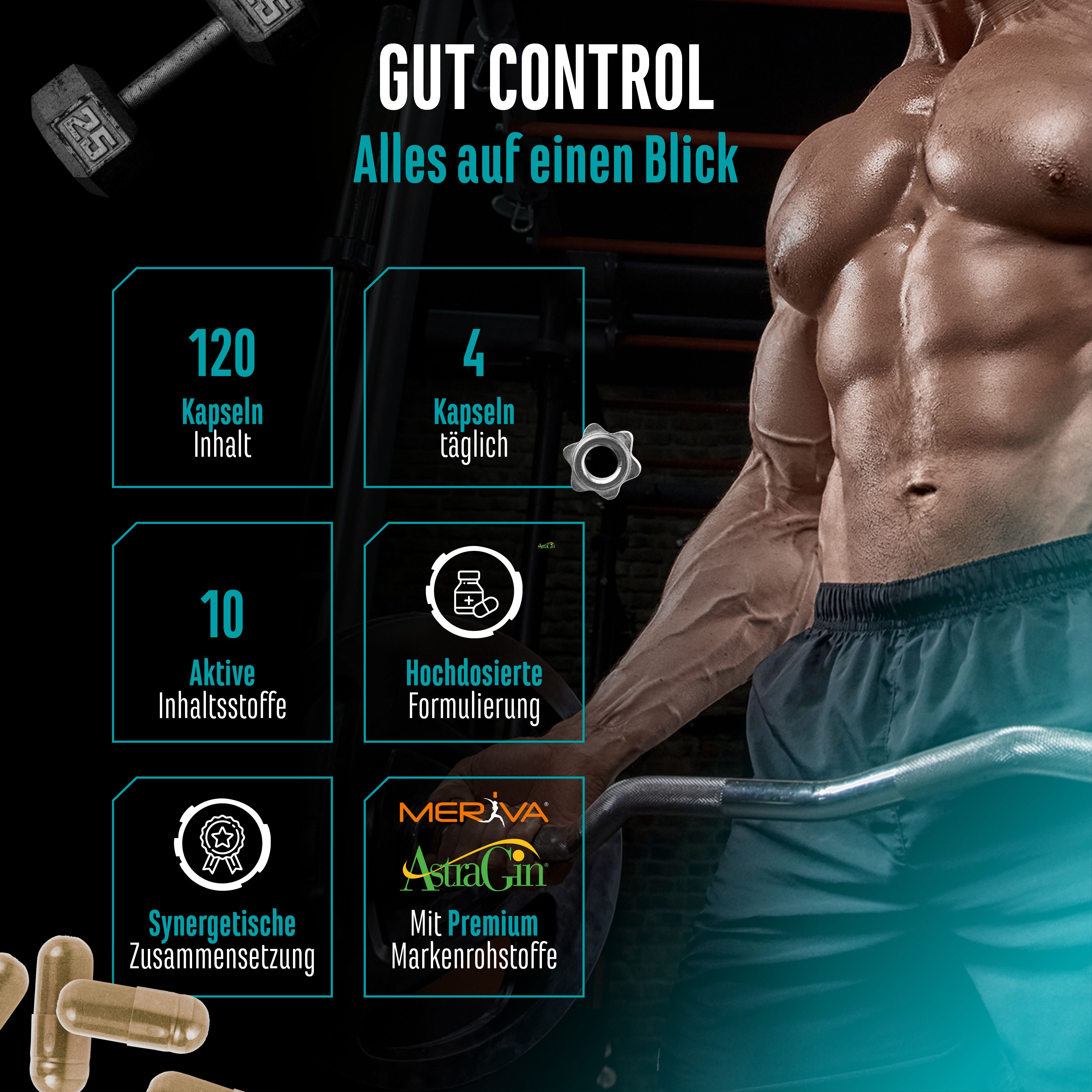 Grafik mit Informationen zu Gut Control. 120 Kapseln, 4 täglich, 10 Inhaltsstoffe, Meriva, AstraGin, synergistische Zusammensetzung.