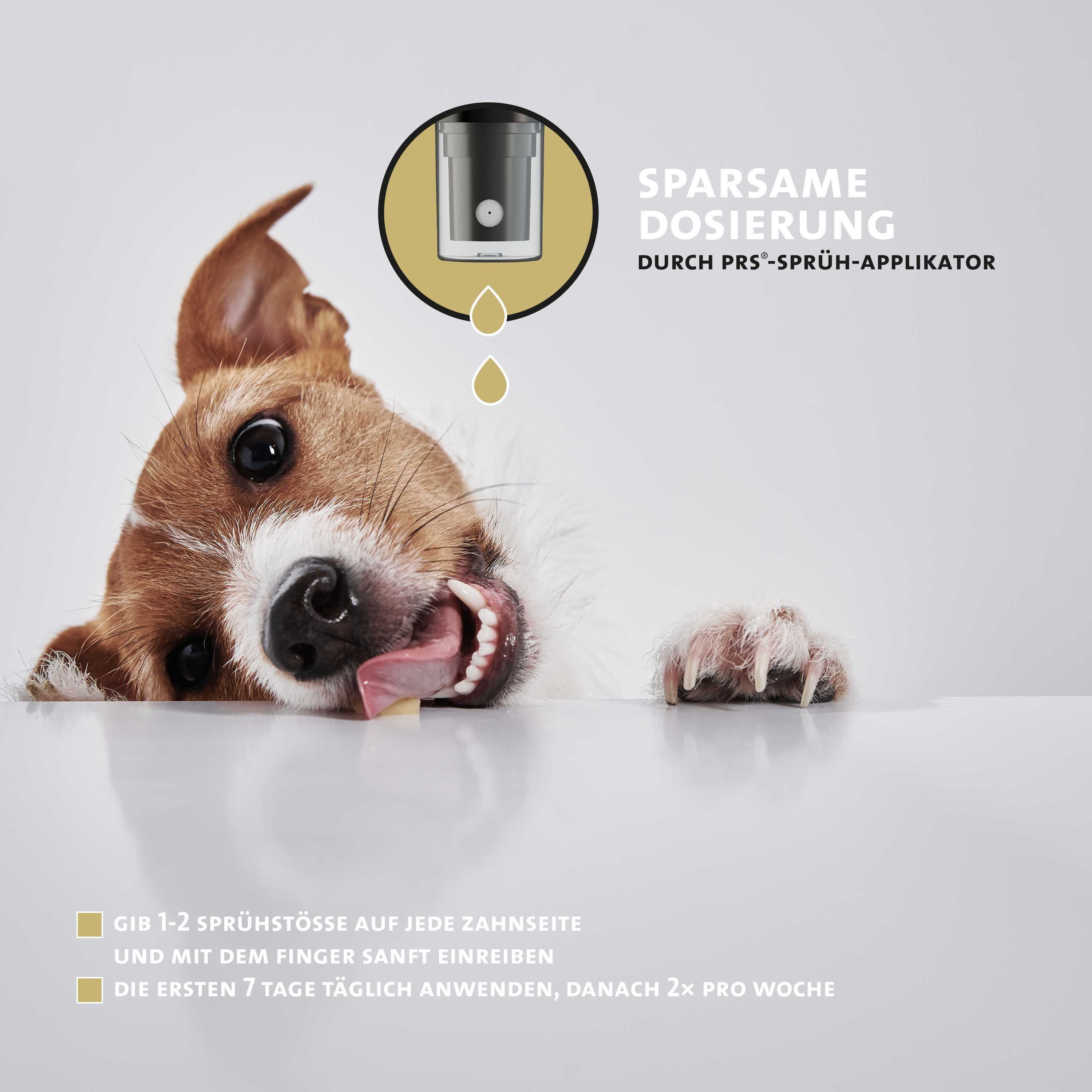 Ein Hund leckt sich die Lippen, Nahaufnahme des Sprühkopfes und Tropfen, Peticare Logo.