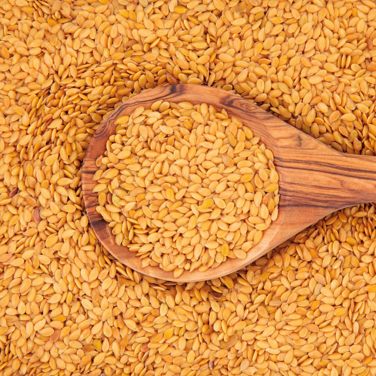 Gelbe Leinsamen mit Holzlöffel. Löffel liegt auf den Samen. Nahaufnahme.