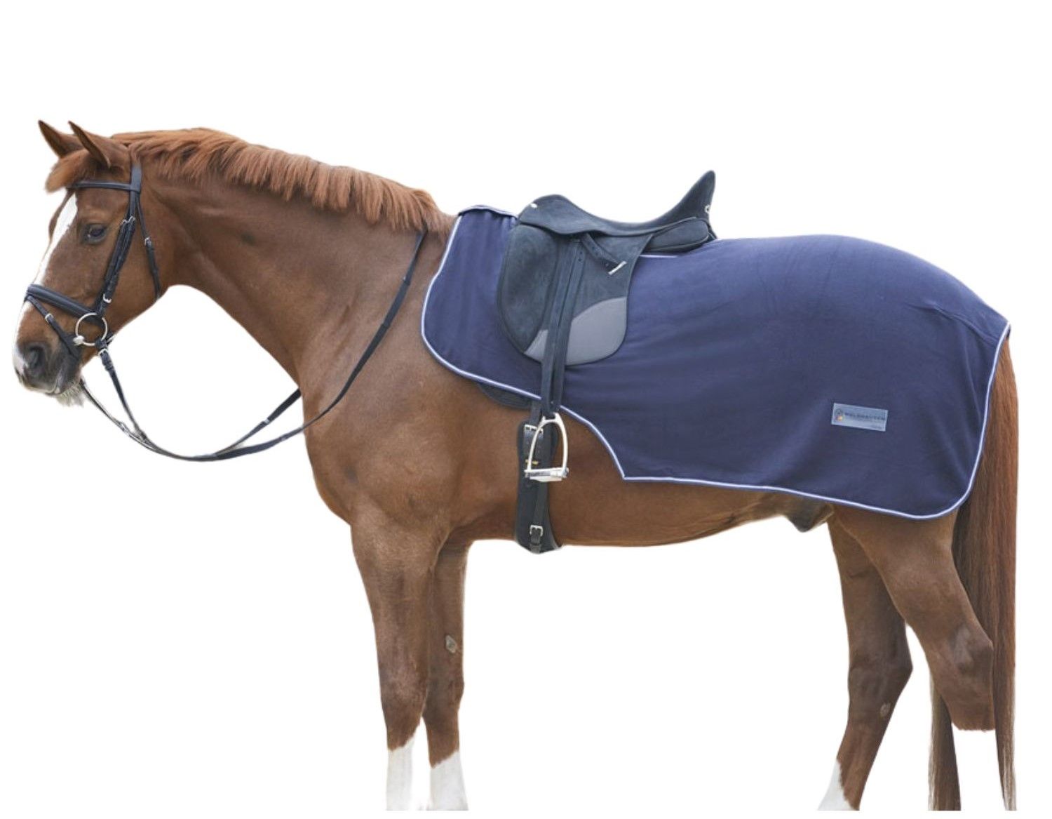 Braunes Pferd mit Sattel und blauer Fleece-Ausreitdecke mit weißer Umrandung.