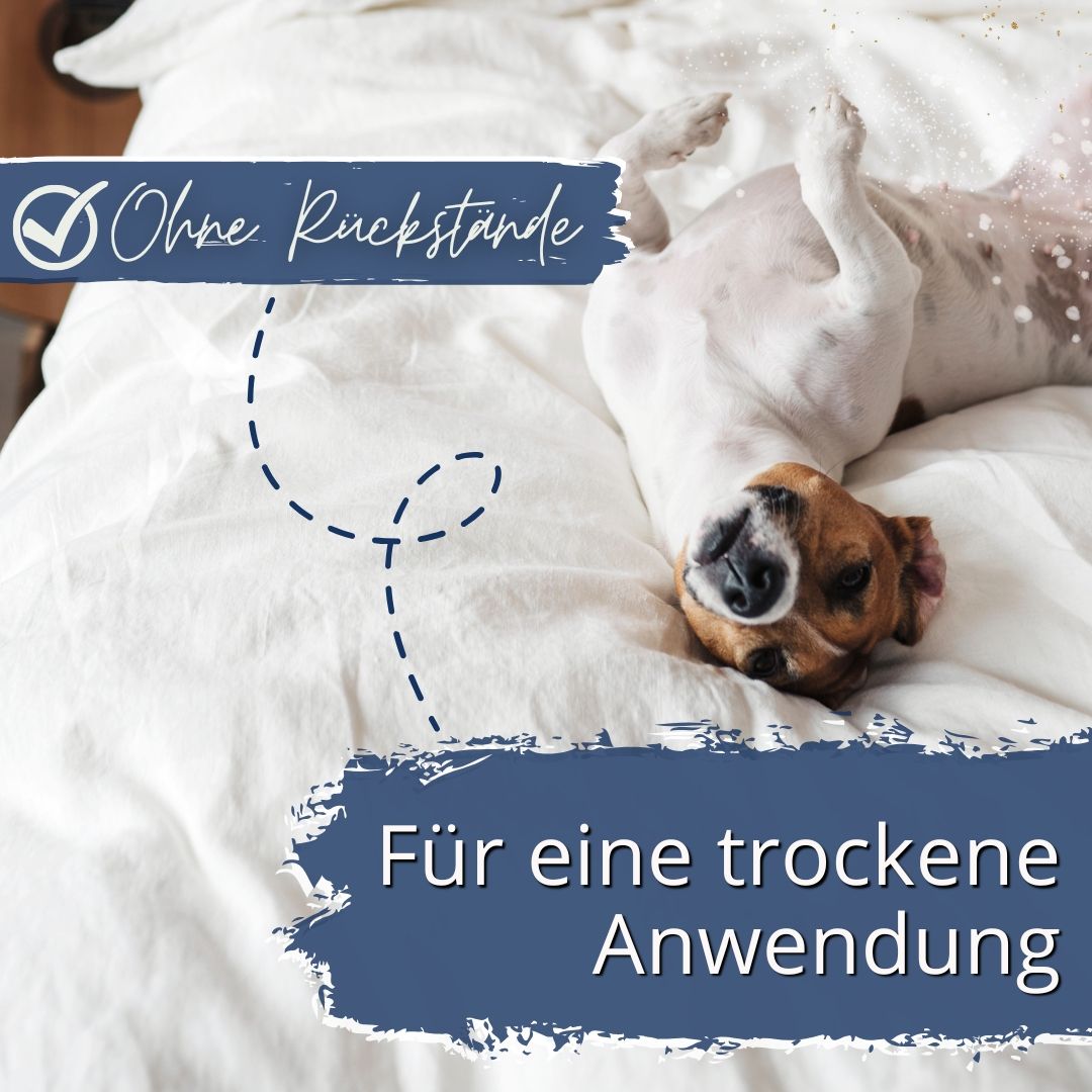 Hund liegt auf dem Rücken auf einem Bett. Text: "Ohne Rückstände", "Für eine trockene Anwendung".