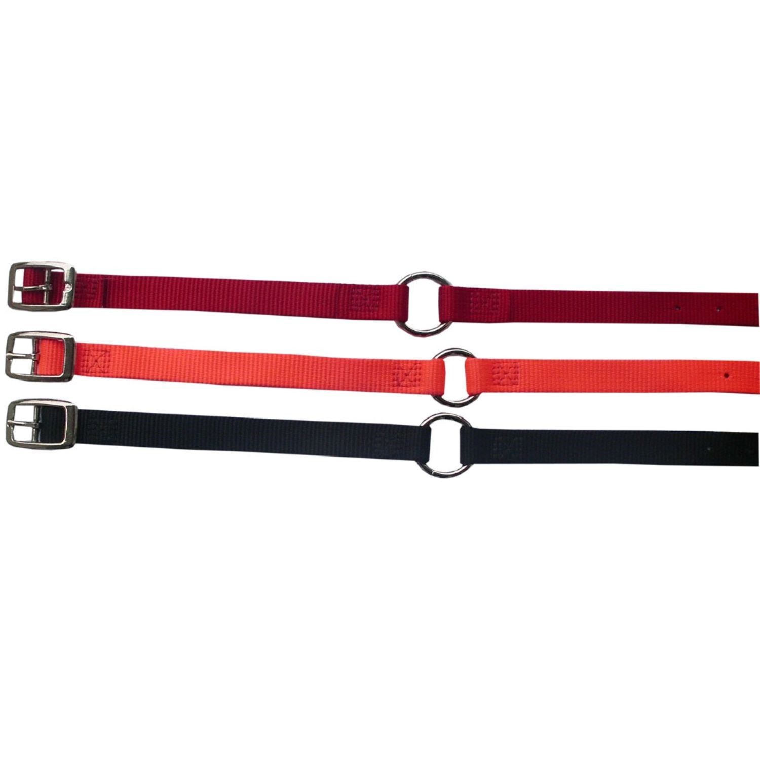 Drei Hundehalsbänder in Rot, Orange und Schwarz. Jedes hat eine Schnalle und einen Metallring.