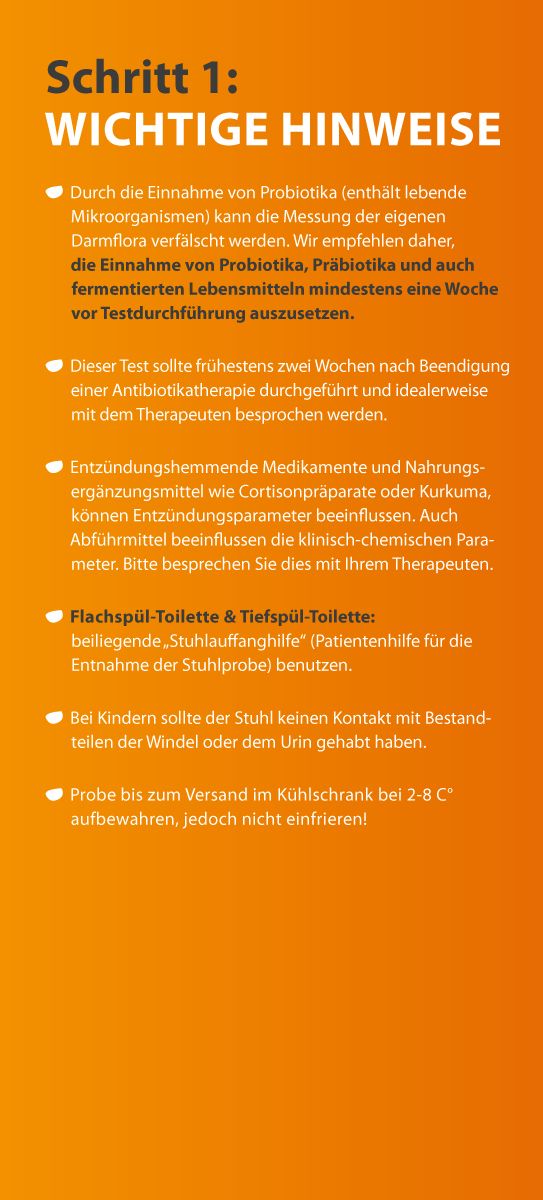 Orangefarbene Seite mit Text. Hinweise zur Durchführung des Tests. Enthält Informationen zur Vorbereitung.