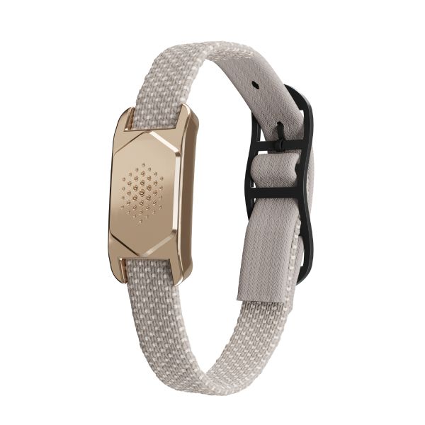 Armband mit goldfarbenem Gehäuse und grauem Textilband. Schwarze Schnalle. Auf weißem Hintergrund.