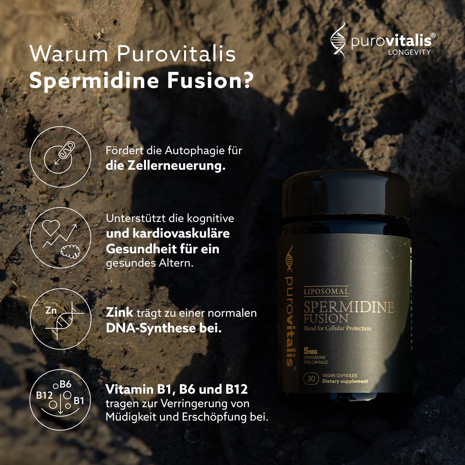 Dose 'Liposomales Spermidin Fusion' auf Steinen. Vorteile: Autophagie, kognitive Gesundheit, Zink, Vitamine B1, B6, B12.