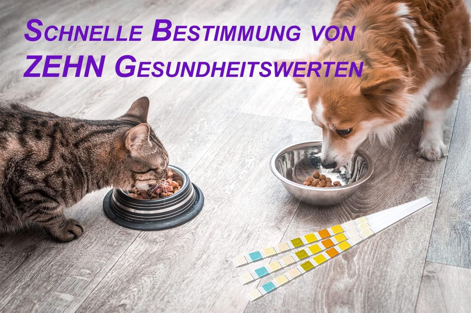 One+Step Urin Teststreifen für Hunde und Katzen - Schnelltest zur Prüfung von 10 Gesundheitswerten