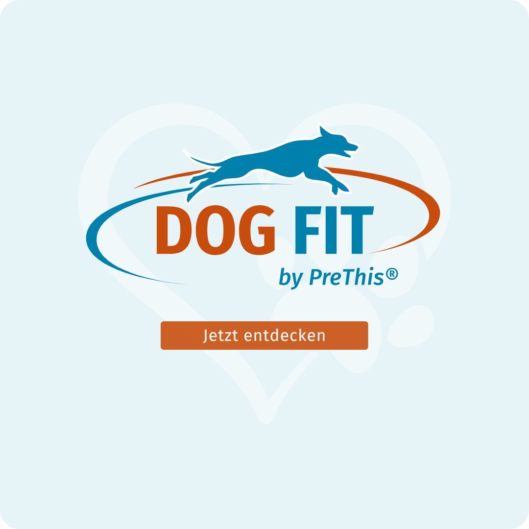 Logo DOG FIT by PreThis®. Text: Jetzt entdecken. Herzförmiger Hintergrund.