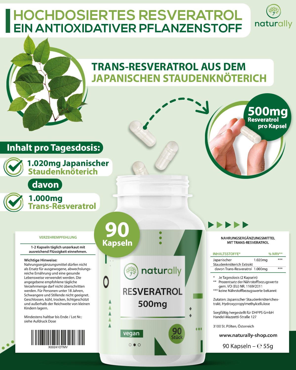 naturally Resveratrol | 500 mg reines Extrakt vom japanischen Staudenknöterich