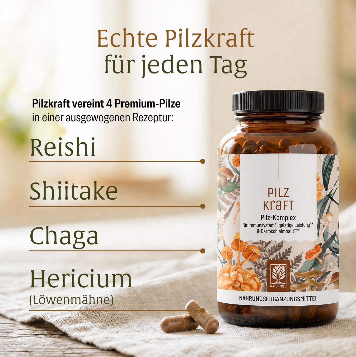 Pilz Komplex Dose mit den Pilzarten Reishi, Shiitake, Chaga und Hericium (Löwenmähne).