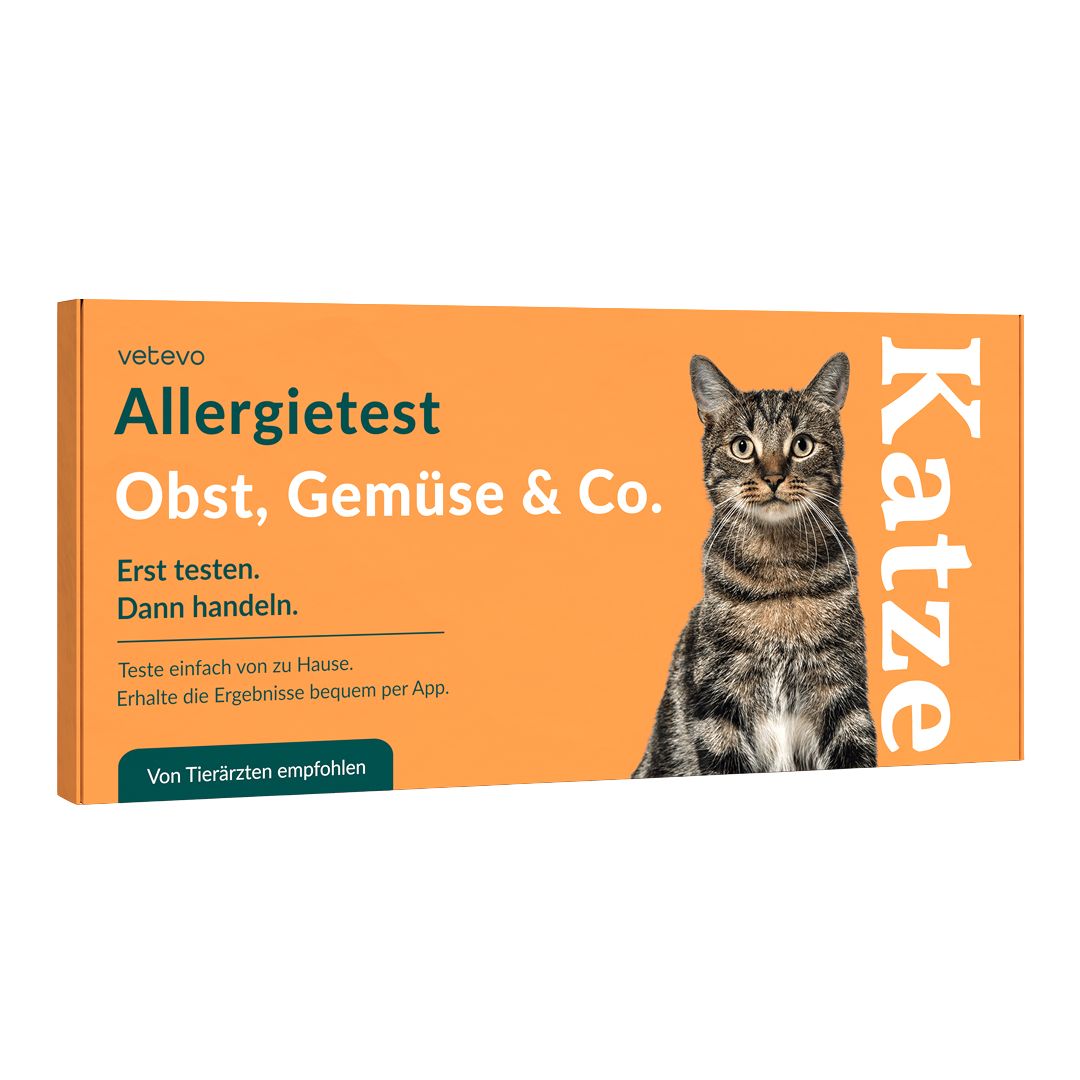 Produktverpackung. Orangefarbene Schachtel mit Produktname, Katze-Illustration und Text. Von Tierärzten empfohlen.