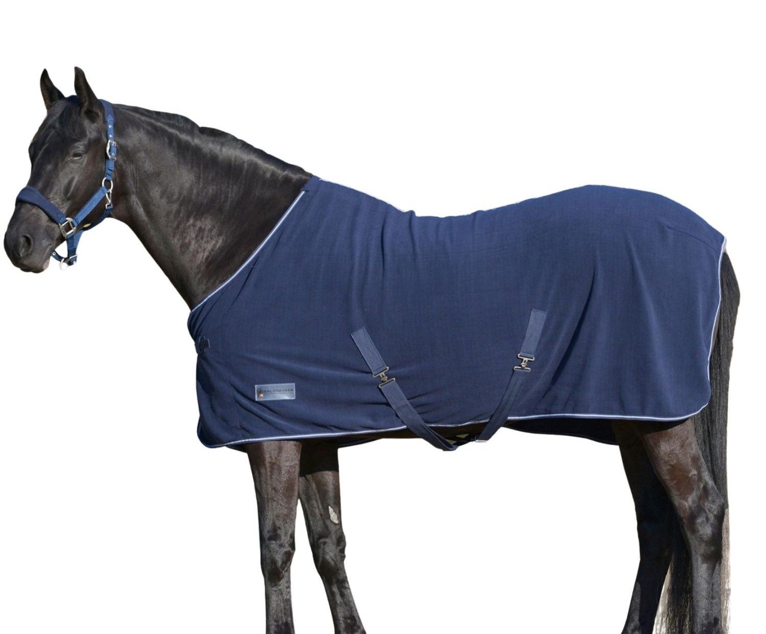 Schwarzes Pferd mit dunkelblauer Fleecedecke. Die Decke hat einen weißen Rand und Gurte.