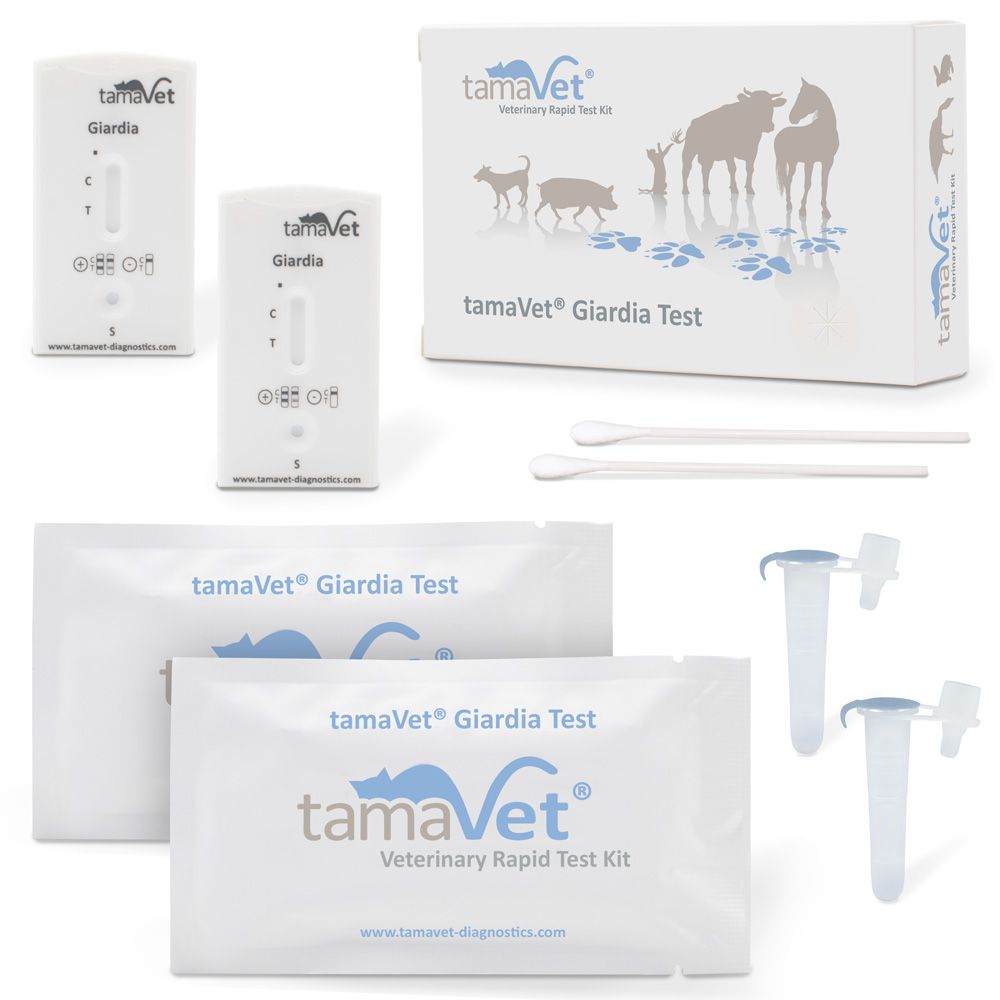 Veterinär-Schnelltest-Kit. Enthält Testkassetten, Verpackungen, Tupfer und Röhrchen. Aufschrift: tamaVet Giardia Test.