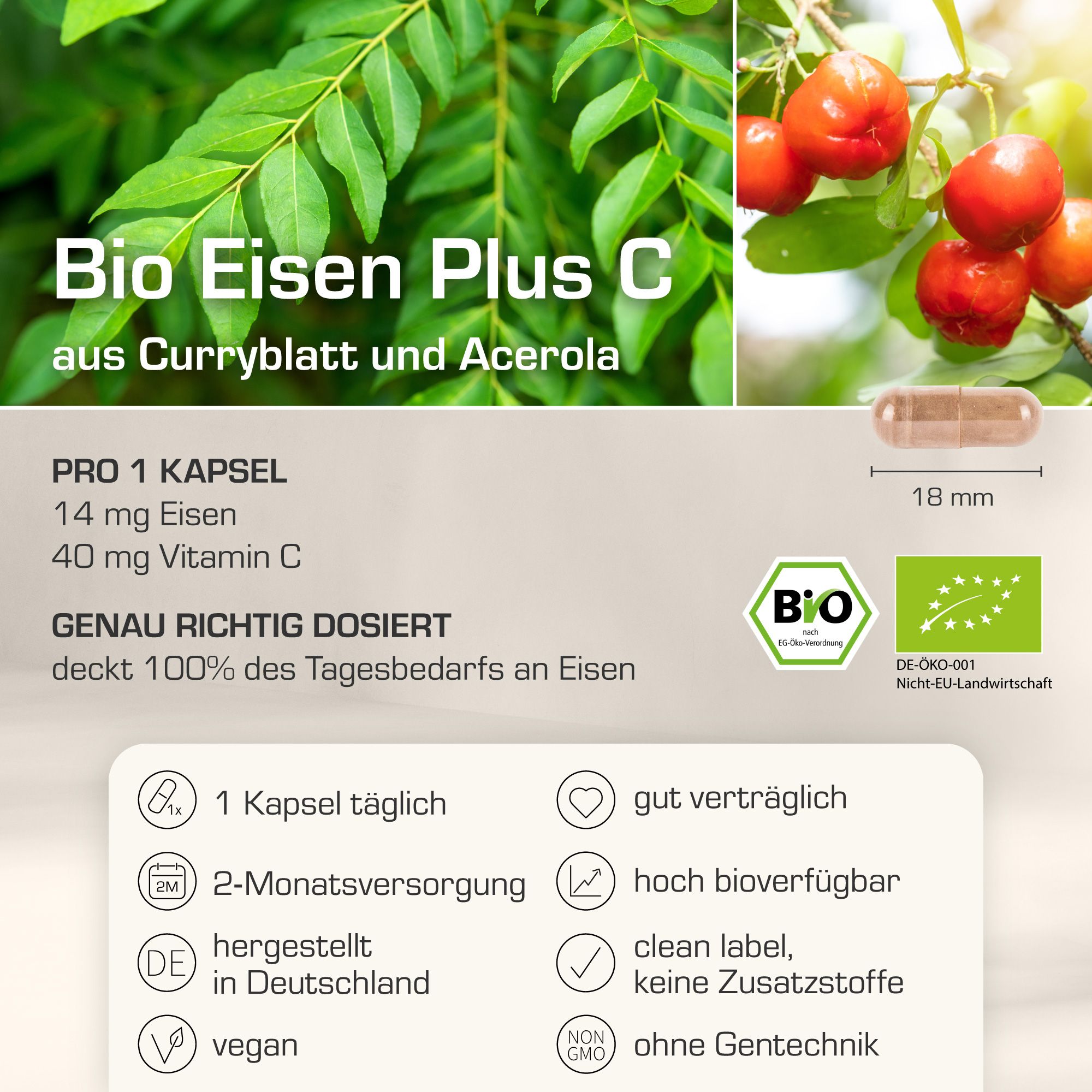 Grafik mit Kapsel, Blättern und Früchten. Text: 'Bio Eisen Plus C'. Angaben zu Inhaltsstoffen und Dosierung.
