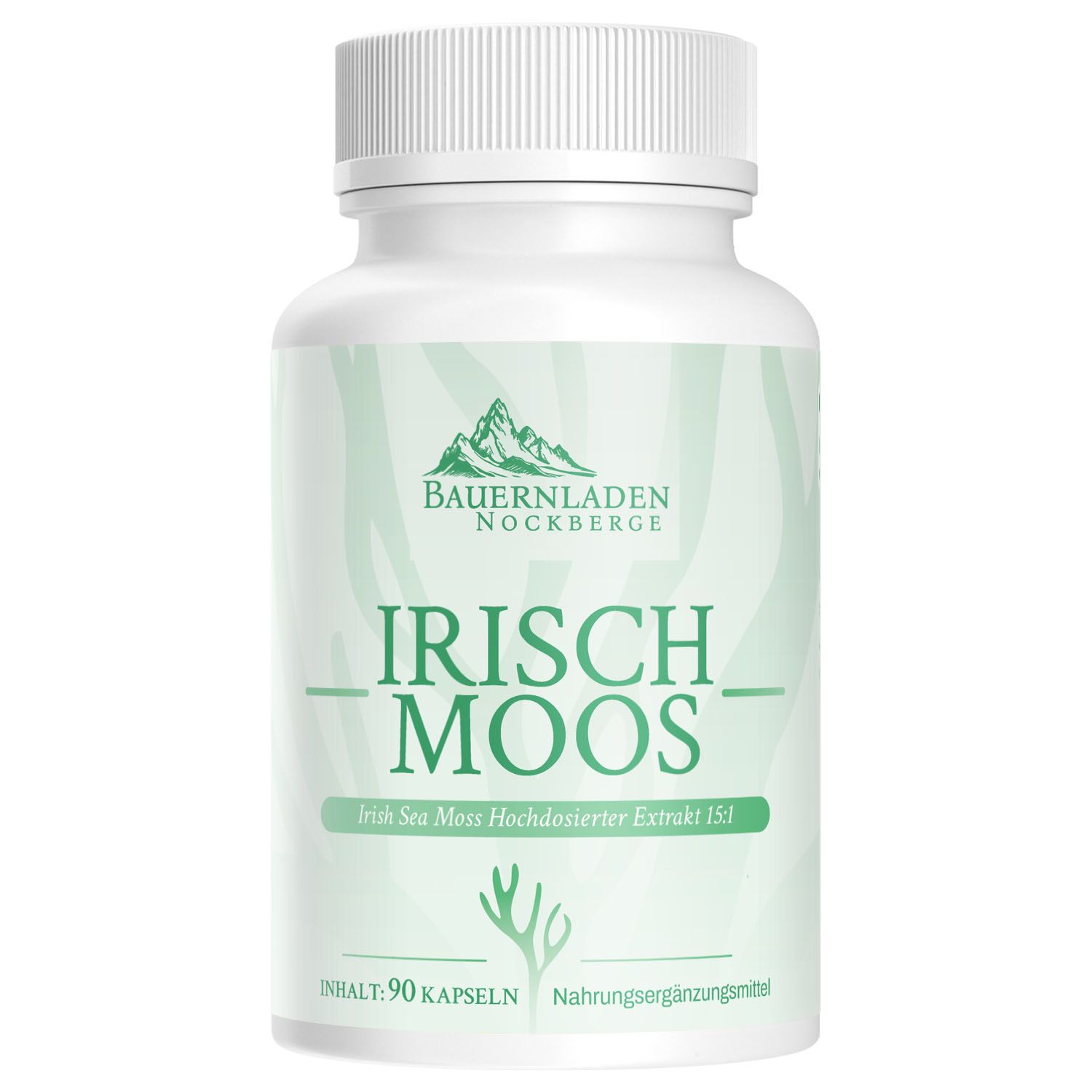 Weiße Flasche mit Schraubverschluss. Aufschrift: Irisch Moos, Irish Sea Moss Extrakt. Enthält 90 Kapseln. Nahrungsergänzungsmittel.