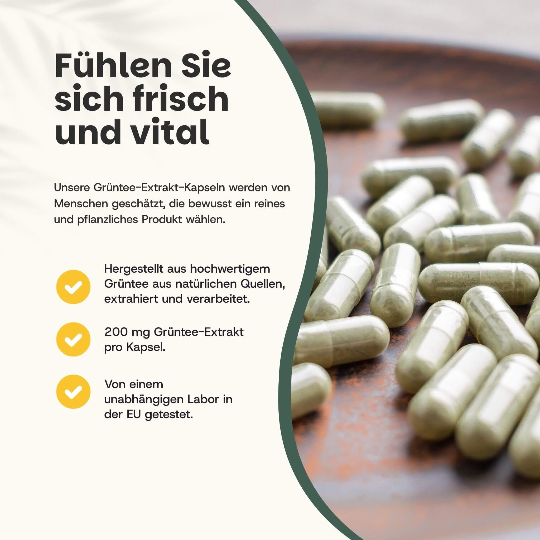 Grüne Kapseln auf einem Teller. Text: Fühlen Sie sich frisch und vital. 200 mg Grüntee-Extrakt pro Kapsel.