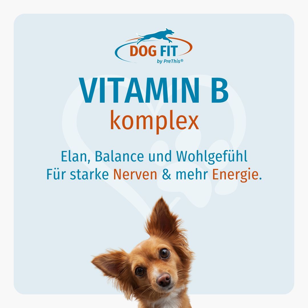 DOG FIT Logo und Vitamin B komplex. Text: Elan, Balance und Wohlgefühl. Für starke Nerven & mehr Energie.