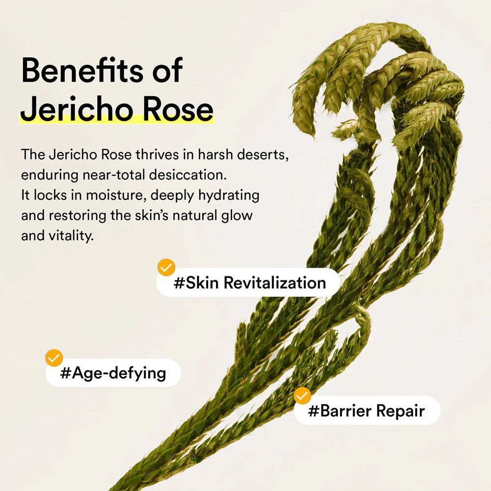 ABIB Jericho Rose Mist Serum für Glow