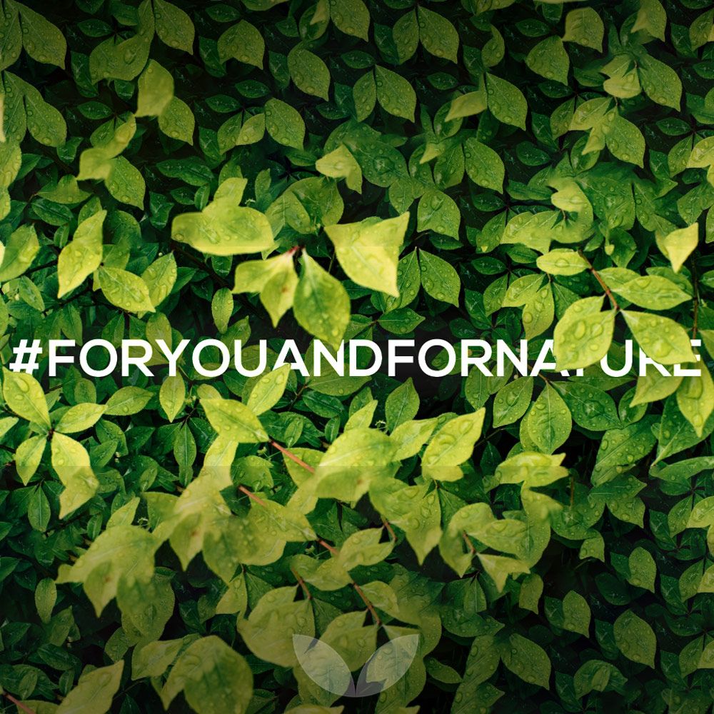 Grüner Hintergrund mit Blättern. Text: #FORYOUANDFORNATURE.