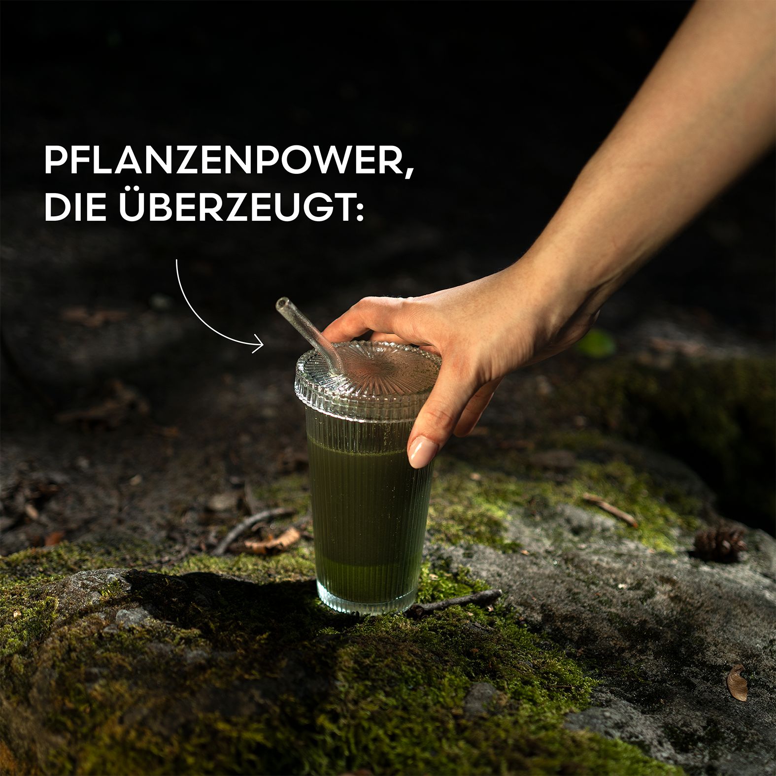 LIV Super Greens 30 Pflanzenpulver- & Extrakte, Prä- & Postbiotika, Vitamine, Mineralstoffe