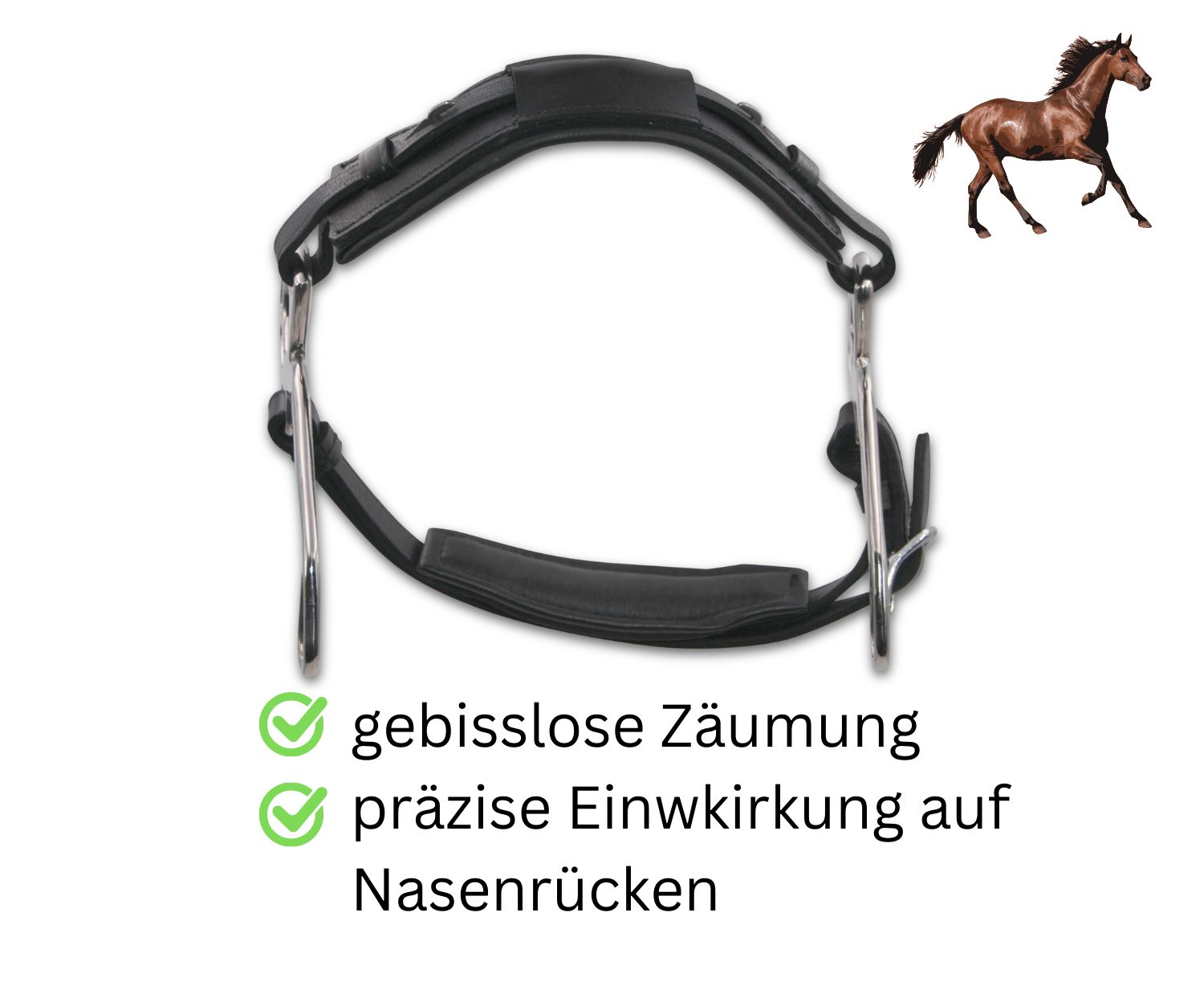 Schwarze, gebisslose Zäumung mit Metallteilen. Text: präzise Einwirkung auf Nasenrücken.