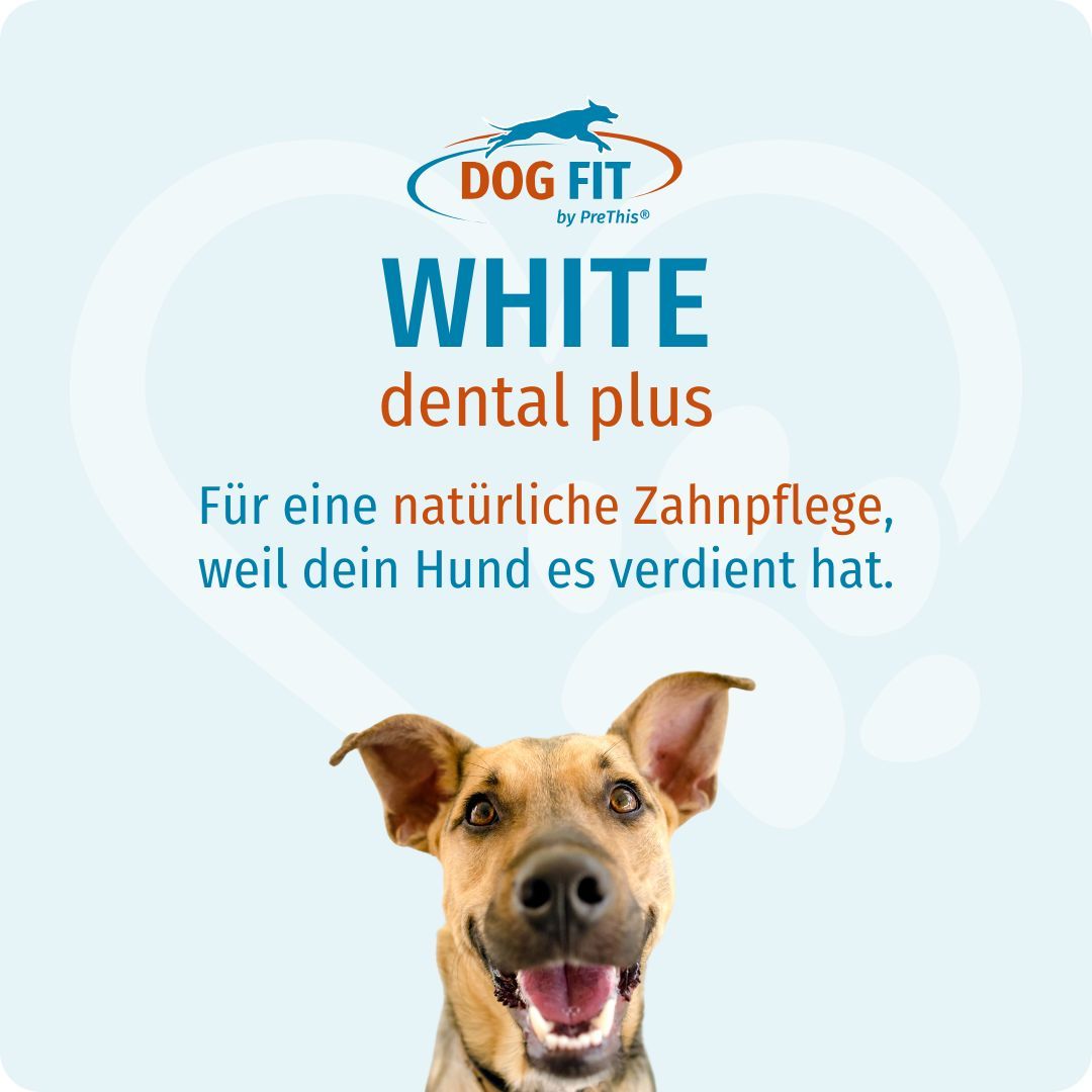 Hund mit offenem Maul. Text: DOG FIT by PreThis® WHITE dental plus. Für natürliche Zahnpflege, weil dein Hund es verdient hat.