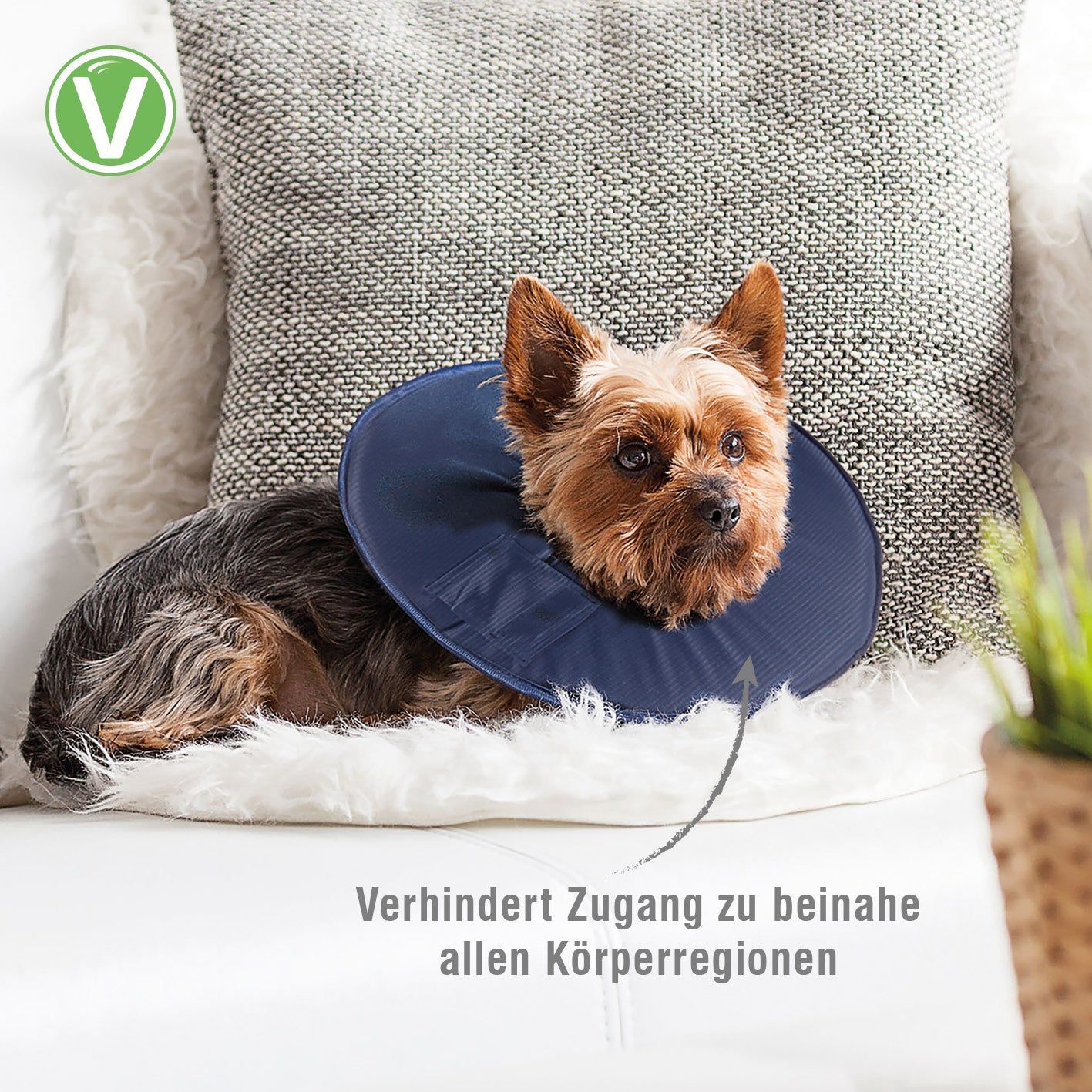 Hund mit blauem Leckschutzkragen auf Sofa. Text: Verhindert Zugang zu beinahe allen Körperregionen. Logo.