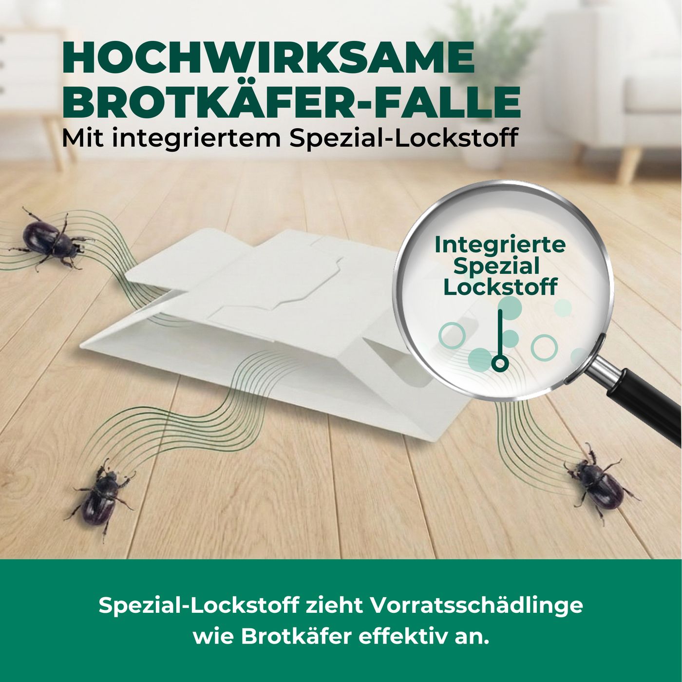 Brotkäferfalle mit Spezial-Lockstoff. Weiße Falle auf Holzboden. Vergrößerung zeigt integrierten Lockstoff. Käfer werden angezogen.