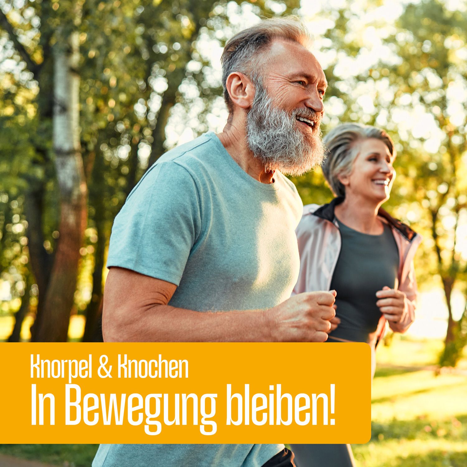 FITNE Nährstoffkomplex Knorpel & Knochen