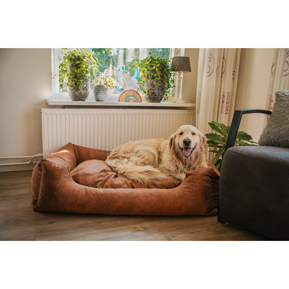 Let's Sleep Sweet Dreams Hundekorb Mit Kissen xl Cognac