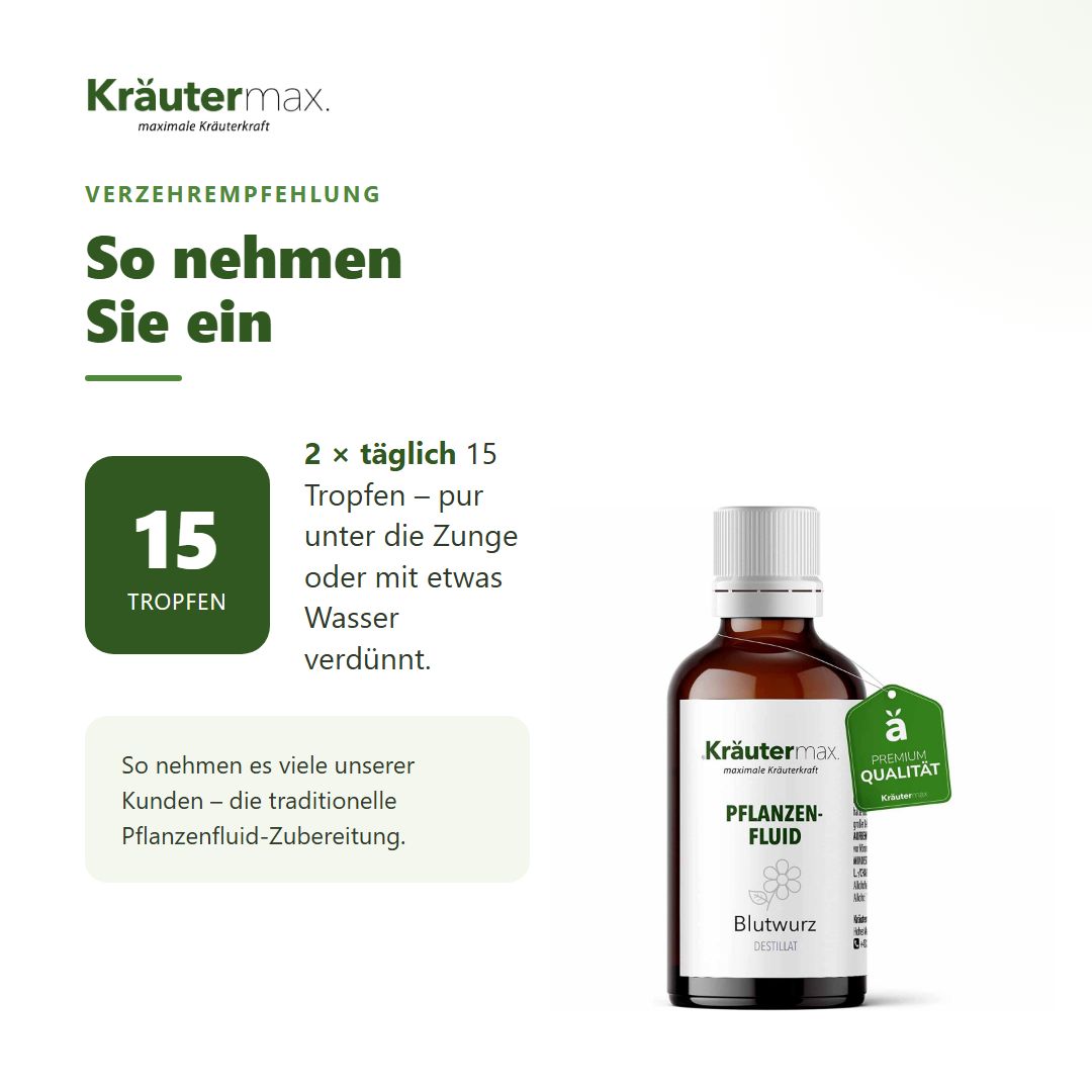 Anwendungsempfehlung für Kräutermax Blutwurz Fluid. Tropfflasche rechts.