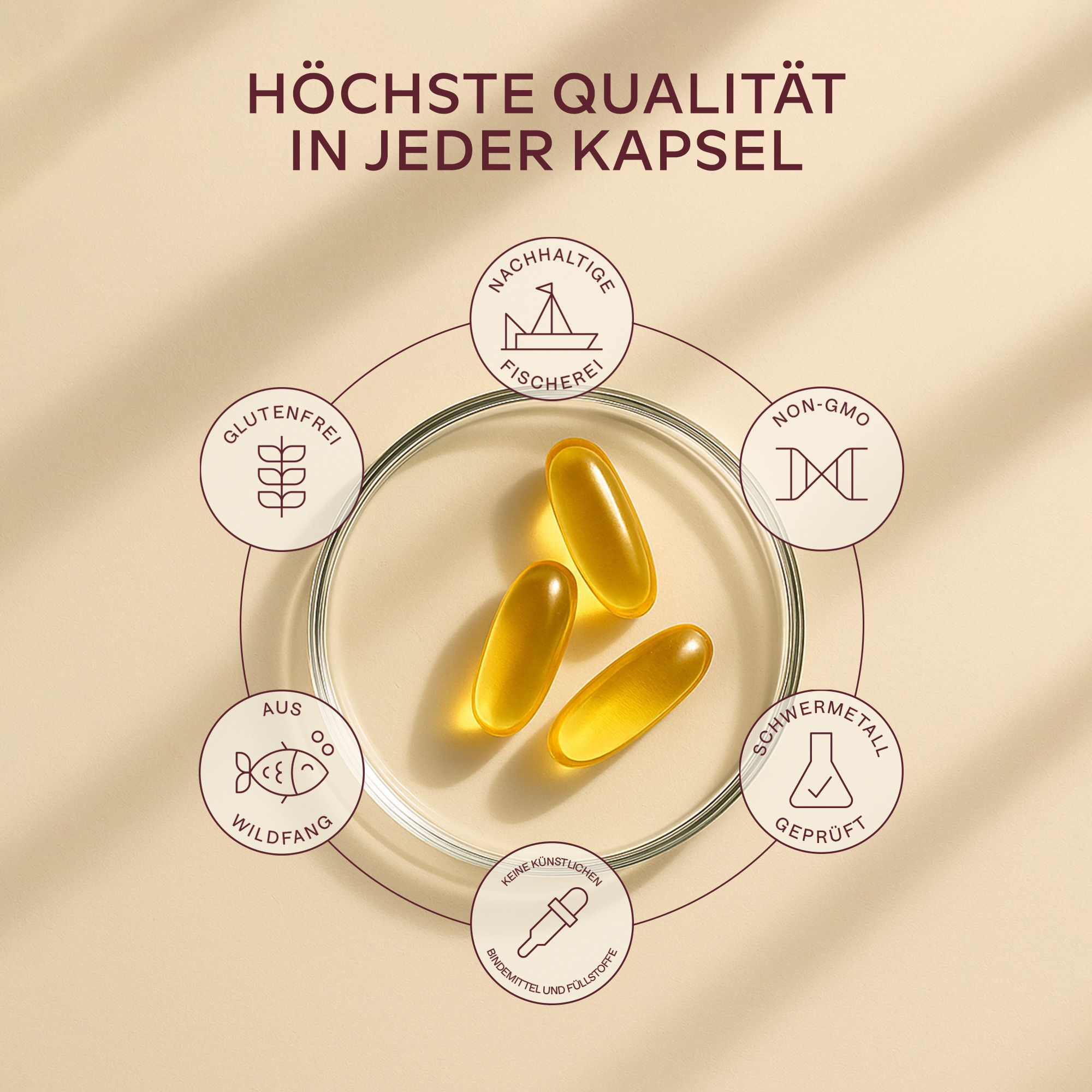 Kapseln mit Logos. Glutenfrei, nachhaltige Fischerei, Non-GMO, Schwermetall geprüft.
