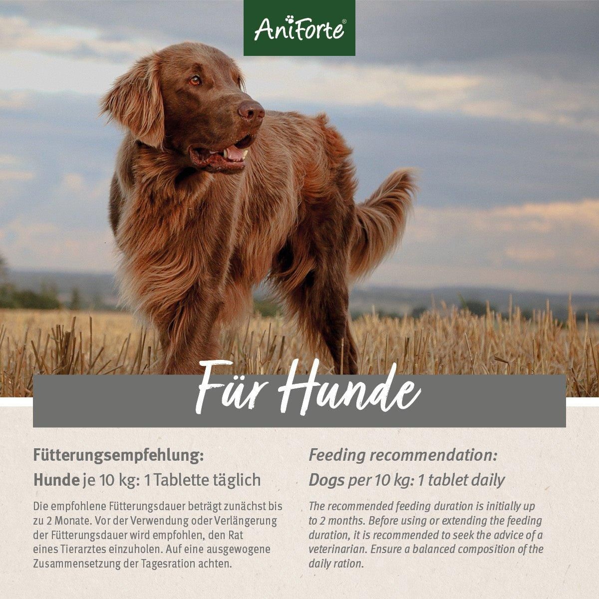 Hund im Feld. Text: Für Hunde. Fütterungsempfehlung: Hunde je 10 kg: 1 Tablette täglich. Fütterungsdauer bis zu 2 Monate.
