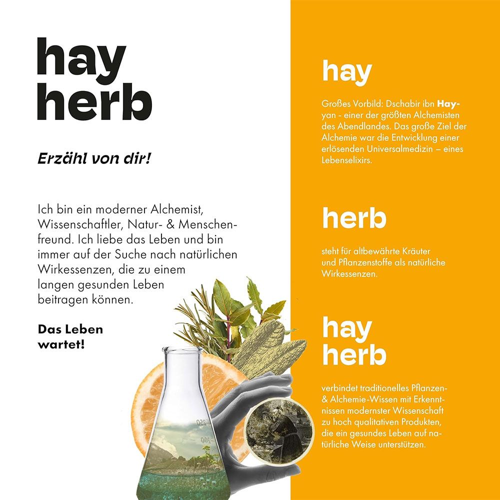 hay herb Gute Laune Komplex Kapseln
