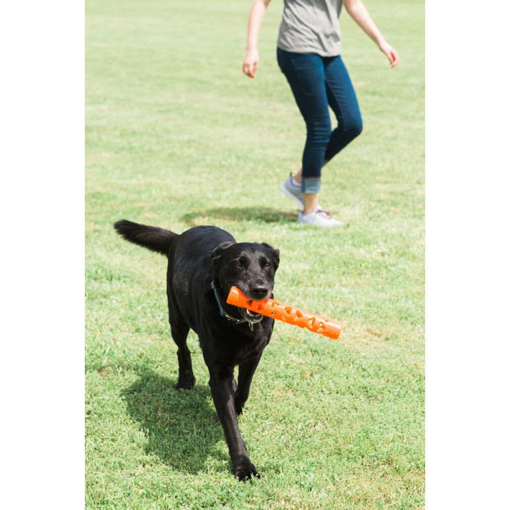Schwarzer Hund trägt orangefarbenen Fetch-Stick auf einer Wiese.