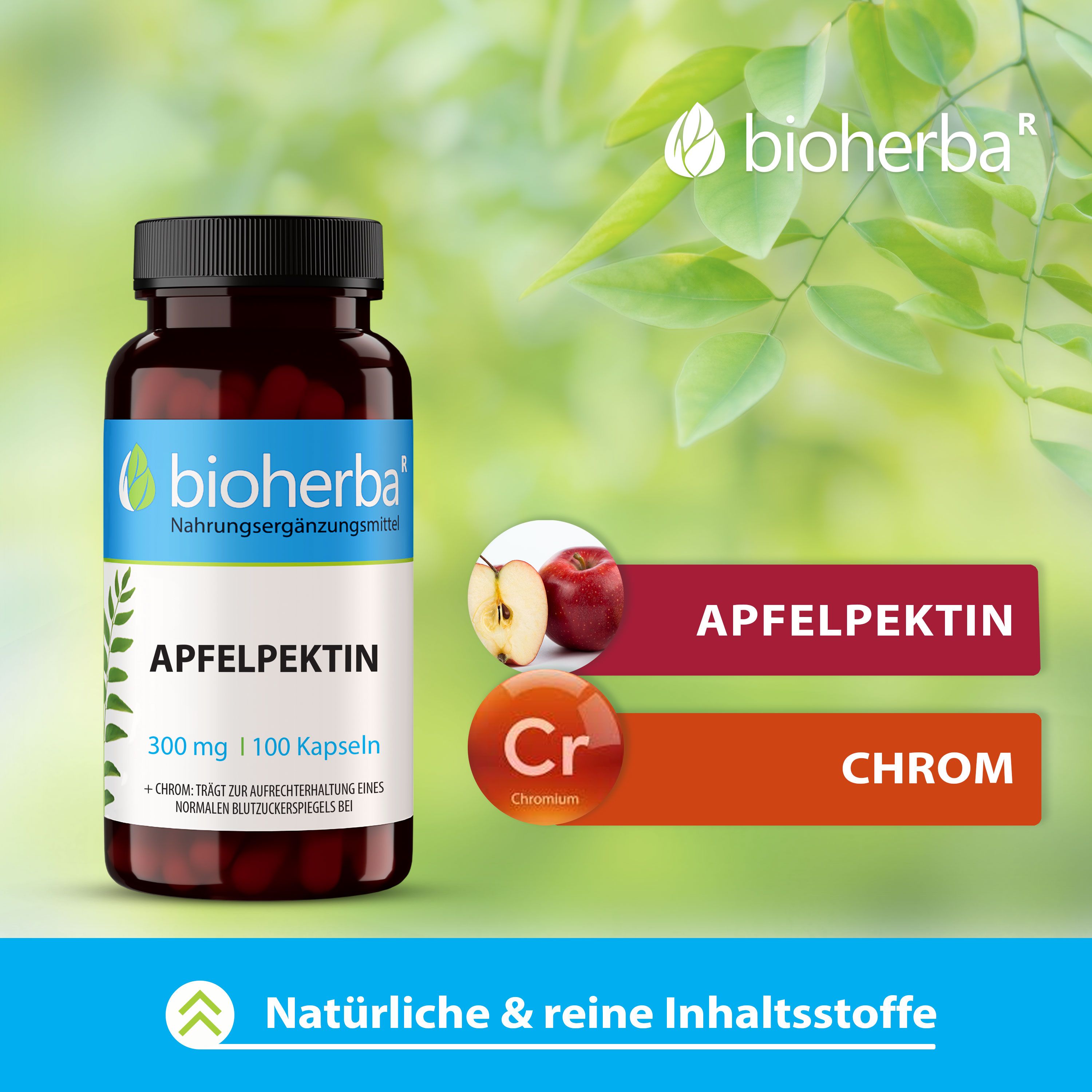 Braune Flasche mit schwarzen Deckel. Aufschrift: Bioherba, Apfelpektin, 300 mg, 100 Kapseln. Abbildung von Apfel und Chrom.