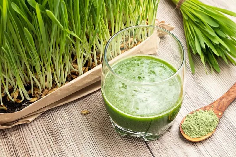 nur.fit BIO Gerstengras Pulver