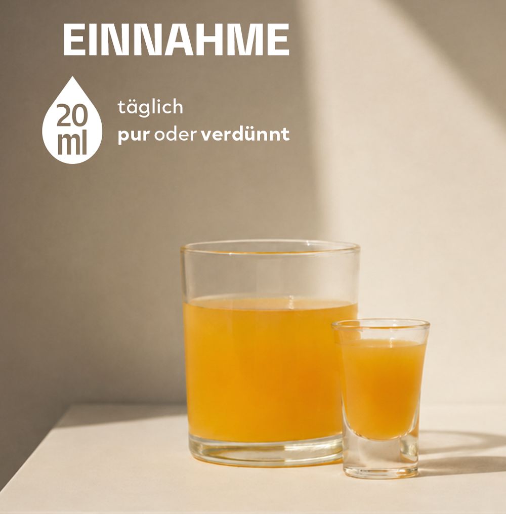 INJU BALANCE Tonic für Ruhe und Resilienz