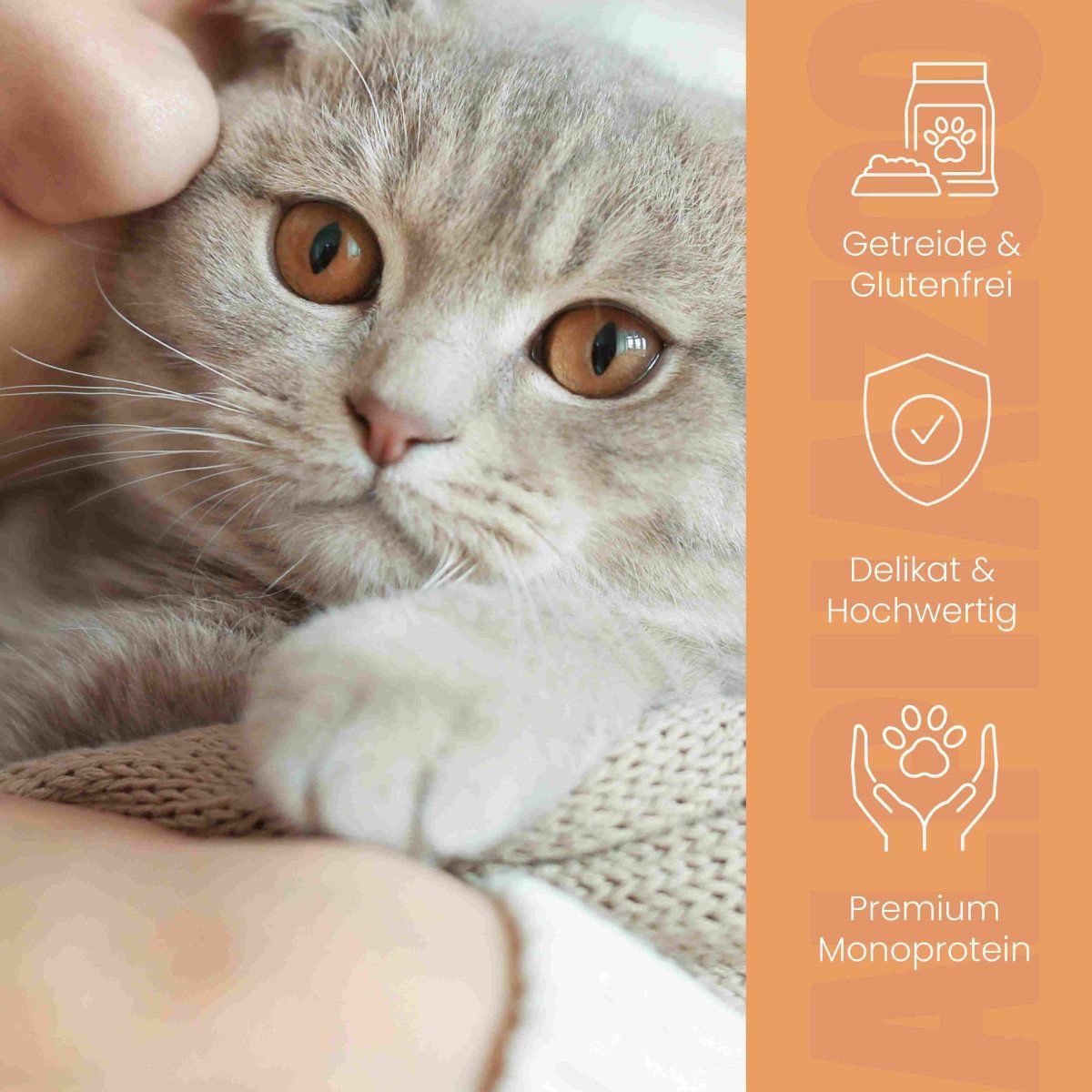 Nahaufnahme einer Katze. Orangefarbener Hintergrund mit Symbolen: Getreide & Glutenfrei, Delikat & Hochwertig, Premium Monoprotein.