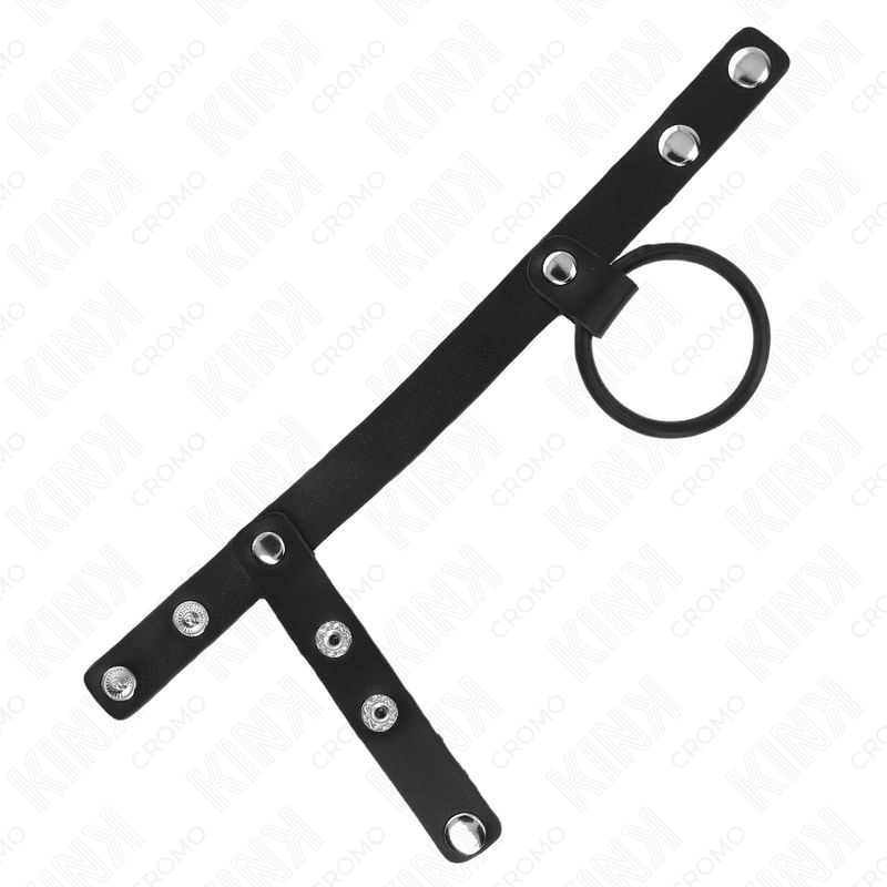 Schwarzes Lederband mit Metallösen und Ring. Band mit mehreren Ösen und einem Ring.